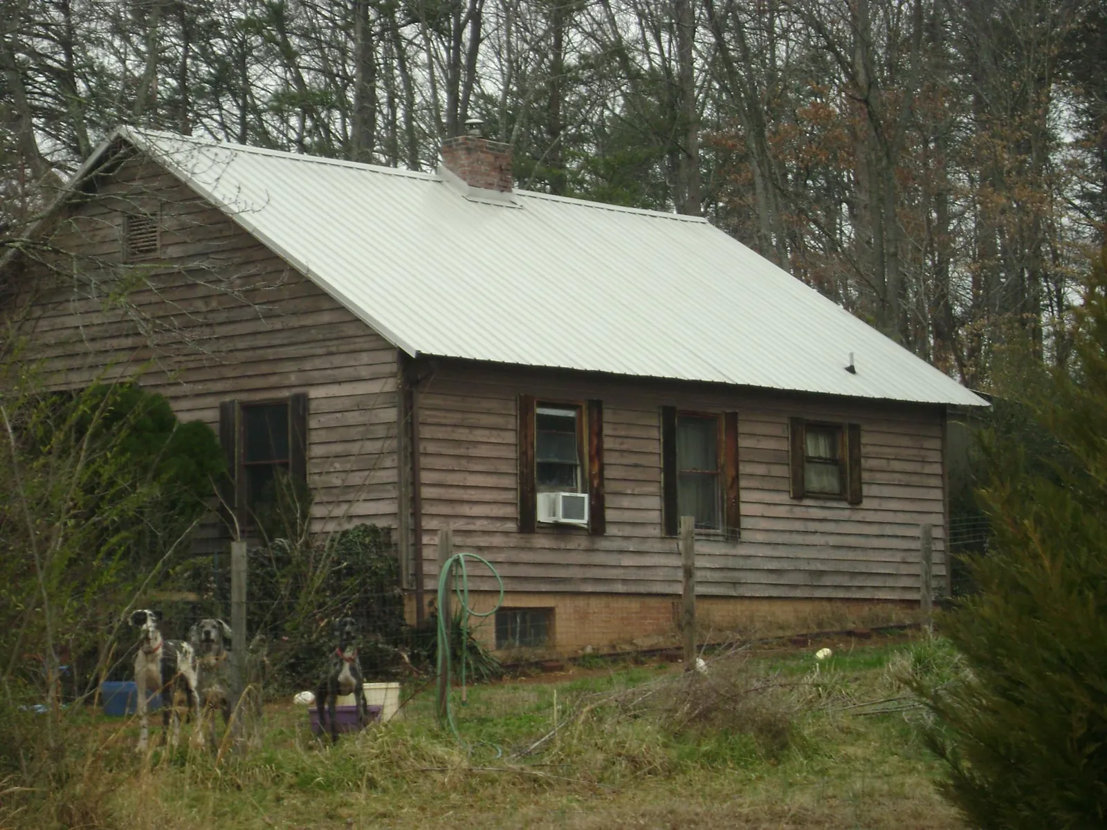 White metal roof on an old wood sided farmhouse, from a Asphalt Shingle Roof Repair job in Tipton